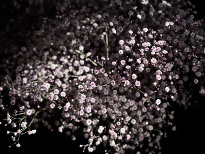 4F1C60A3-D93E-410B-9FFD-0295A8A23CB2